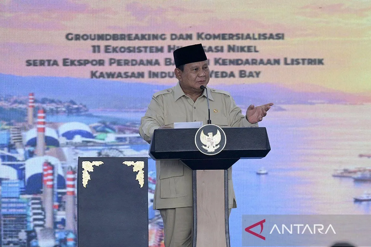 Halmahera Jadi Kunci Hilirisasi Nikel, Indonesia Hadapi Tantangan Menuju Industri Bernilai Tinggi